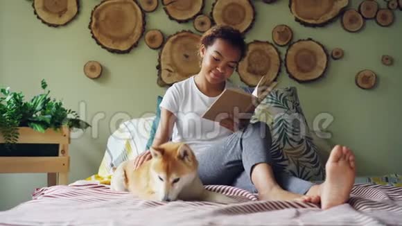 迷人的混血女孩正在阅读书籍抚摸她的小狗赤脚坐在床上在现代公寓爱视频的预览图