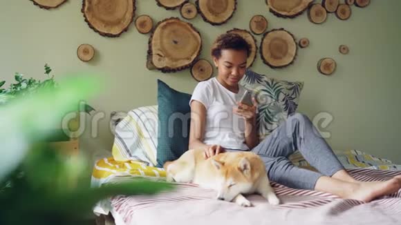 漂亮的年轻女人使用智能手机抚摸可爱的小狗躺在床上靠近它的主人在现代风格的卧室视频的预览图