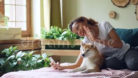 美丽的女孩骄傲的狗主人正在打视频电话抚摸她的纯种狗躺在床上在家里年轻的女人视频的预览图