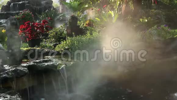 花园里有瀑布的雾气视频的预览图