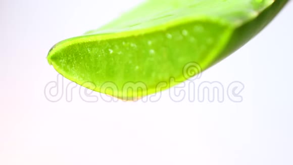 芦荟胶从芦荟植物绿叶中滴下的特写护肤保健保湿理念视频的预览图