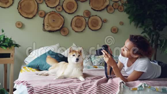 骄傲的狗主人正在用专业的相机拍摄她的血统狗躺在家里的床上美丽美丽视频的预览图