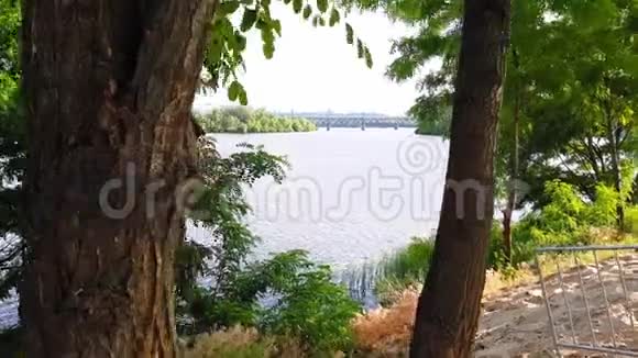 从高高的河岸上看到第聂伯河追踪着从树上射过去视频的预览图