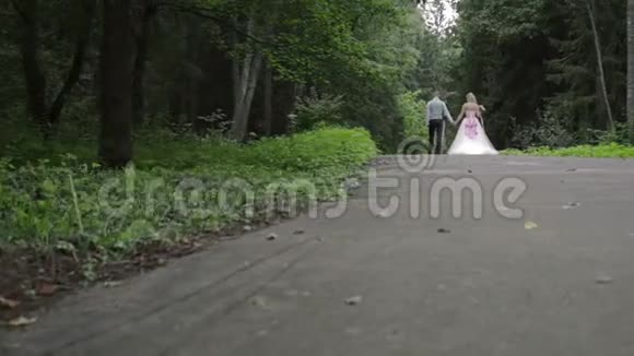 新郎新娘在树林里散步视频的预览图
