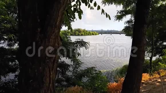 从高高的河岸上看到第聂伯河追踪着从树上射过去视频的预览图