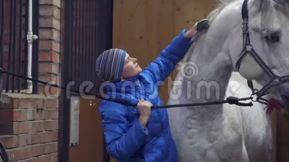 一个穿着蓝色夹克和运动帽的年轻漂亮女人在马厩里梳着一匹白马的鬃毛视频的预览图