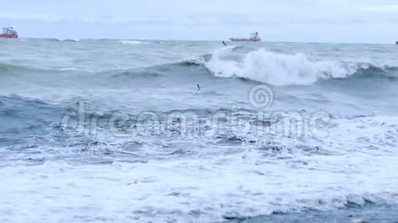 海鸥远在海上的船只航行海浪卷向岸边视频的预览图