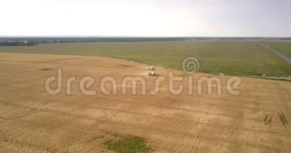 空中观景车驶过长满成熟小麦的田野视频的预览图