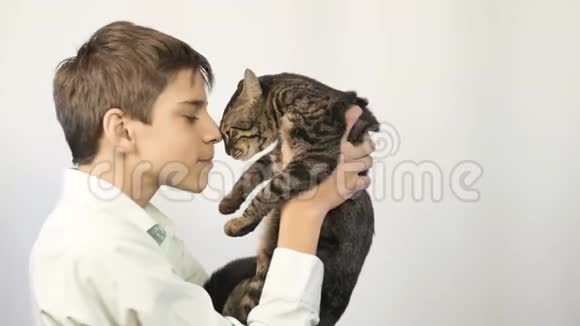男孩拥抱并亲吻他的小猫快乐的童年视频的预览图
