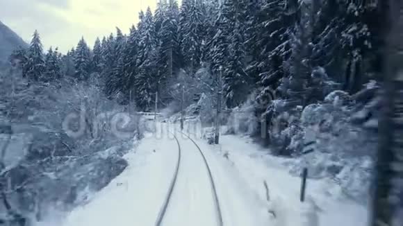 火车冬季森林场景视频的预览图