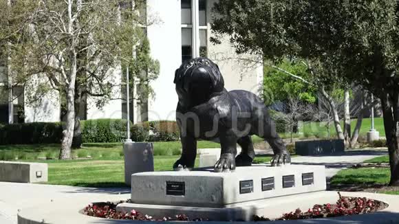 雷德兰大学的狗雕像视频的预览图