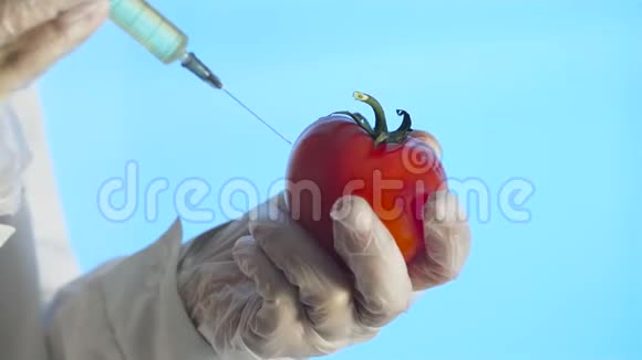 科学家用注射器注射番茄视频的预览图