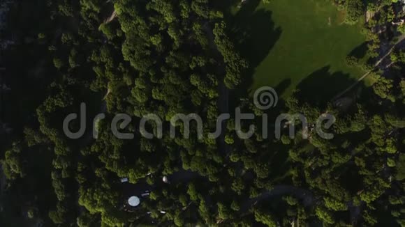 纽约市中心曼哈顿中央公园绿树顶空中无人机景观视频的预览图