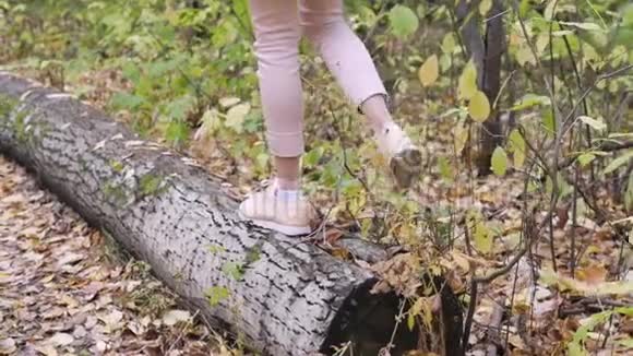 女游客穿着棕色靴子背着背包在树林里的路上人行道上有橙色的落叶视频的预览图