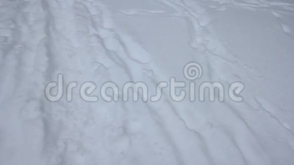 雪中的脚印视频的预览图