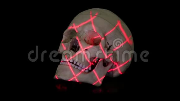 旋转网格人体颅骨模型三维扫描视频的预览图