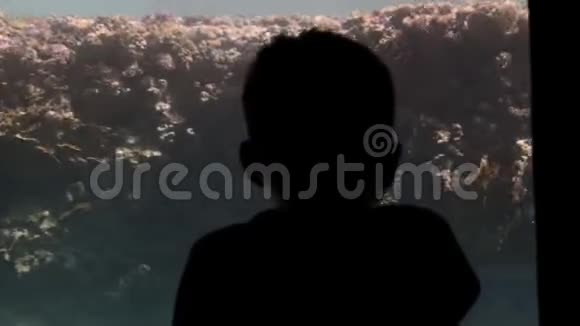 一个未被认出的小男孩的剪影靠近水下游客浴帽的大观察窗与同视频的预览图