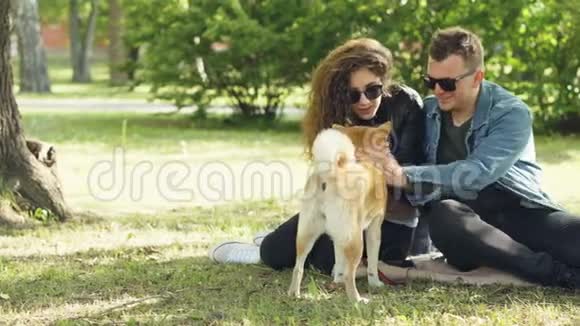 可爱的夫妇男人和女人正在公园里拍拍漂亮的狗坐在草坪上说话现代生活方式家庭生活视频的预览图