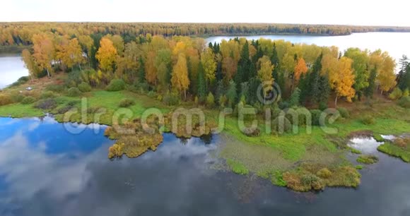 从鸟瞰秋天森林和河流视频的预览图