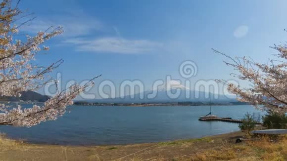山富士和川口湖与樱花树的时间间隔视频的预览图