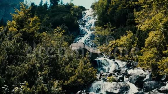 森林中岩石瀑布的泡沫般汹涌的水视频的预览图