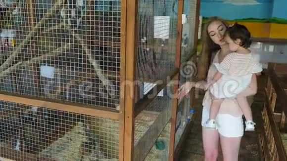 妈妈和女儿在接触动物园小女孩害怕动物视频的预览图