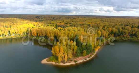 从鸟瞰秋天森林和河流视频的预览图