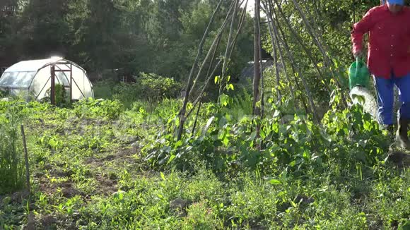 村民男子在花园里用浇水罐浇水4K视频的预览图