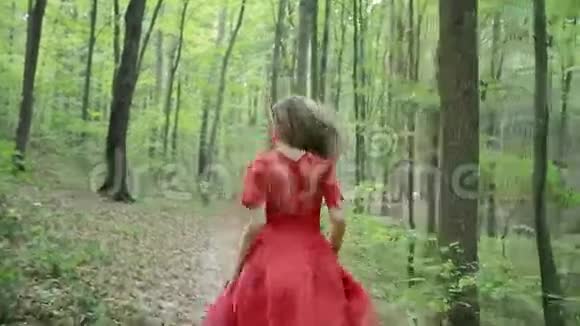 害怕的年轻女子在树林里奔跑视频的预览图