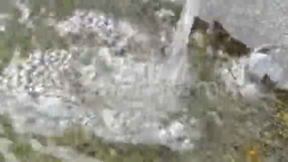水流掉进小石碗里水在冒泡宏观视频的预览图