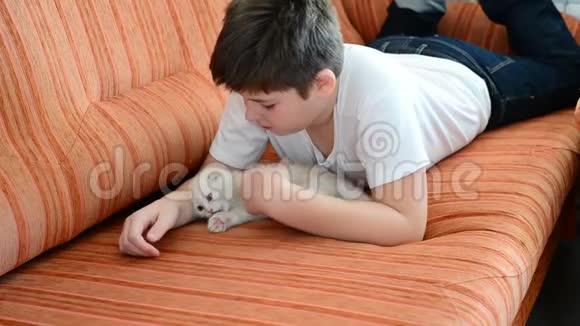 男孩对猫过敏视频的预览图