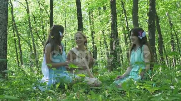 仙女在树林里说话视频的预览图