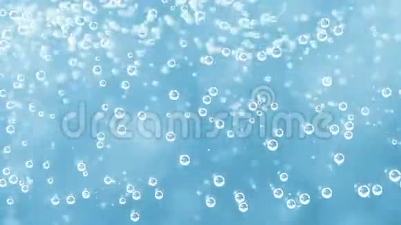 水泡在芦荟运动中视频的预览图