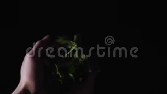 特写的男性或女性手拿着一把欧芹把它扔到黑暗的背景上框架新鲜视频的预览图