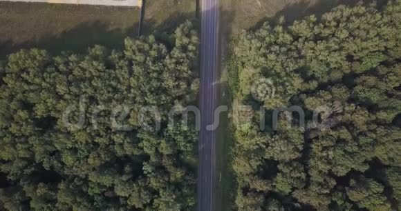 通过欧洲松树森林的道路景观俯视4K4k4096x2160像素视频的预览图