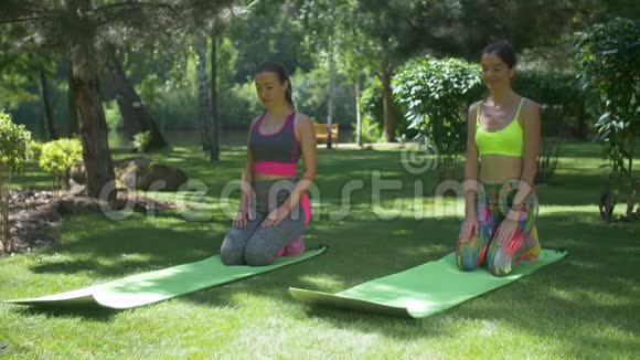 健身运动妇女在公园里做木板运动视频的预览图