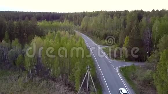 上观长高速公路穿越辽阔的松林视频的预览图