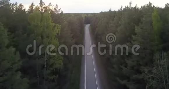 穿过森林的空高速公路视频的预览图