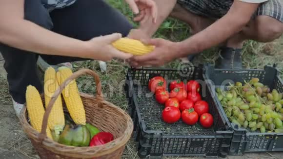 提供一个柳条篮子的特写镜头从你自己的花园里可以看到成熟的季节性水果和蔬菜没有视频的预览图
