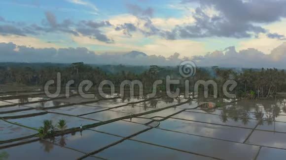 美丽的空中拍摄的Ubud村周围的稻田在水稻种植之前充满了水视频的预览图