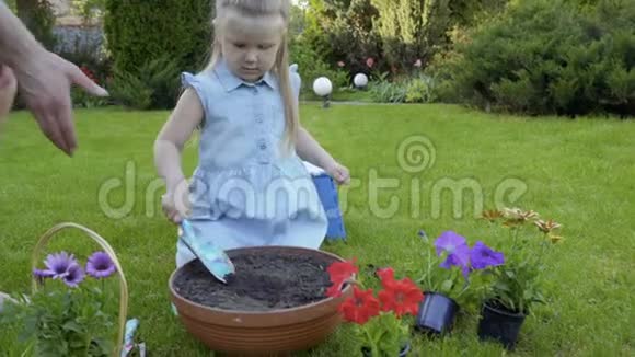 父亲帮助小女儿在花盆里挖一个洞用来做花视频的预览图