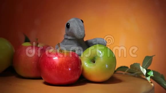 苹果毛绒封口木底视频的预览图