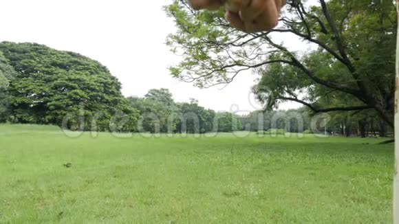 年轻的亚洲夫妇在大自然中享受春日带着快乐的情感去野餐视频的预览图