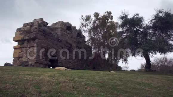 狗在草地上休息风在希腊废墟上摇动大树视频的预览图