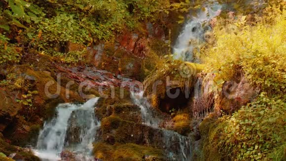 秋天森林中的史诗般的瀑布视频的预览图