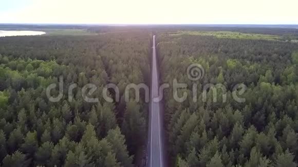 鸟瞰长直路穿过松林视频的预览图