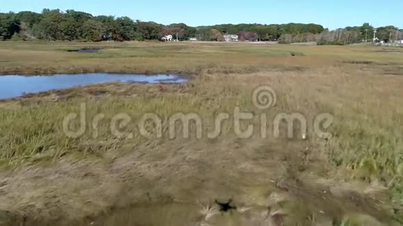 空中无人机低飞过沼泽通过小河流与无人机阴影在视图4K视频的预览图
