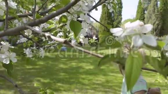 小女孩闻着树上的花被蜜蜂在旁边飞来飞去的惊吓视频的预览图