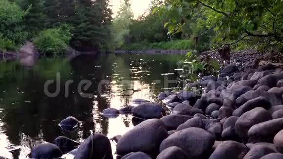 夏天美丽的河流视频的预览图