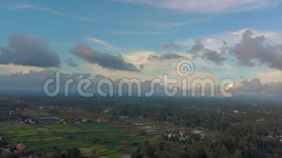 美丽的空中拍摄的Ubud村周围的稻田在水稻种植之前充满了水视频的预览图